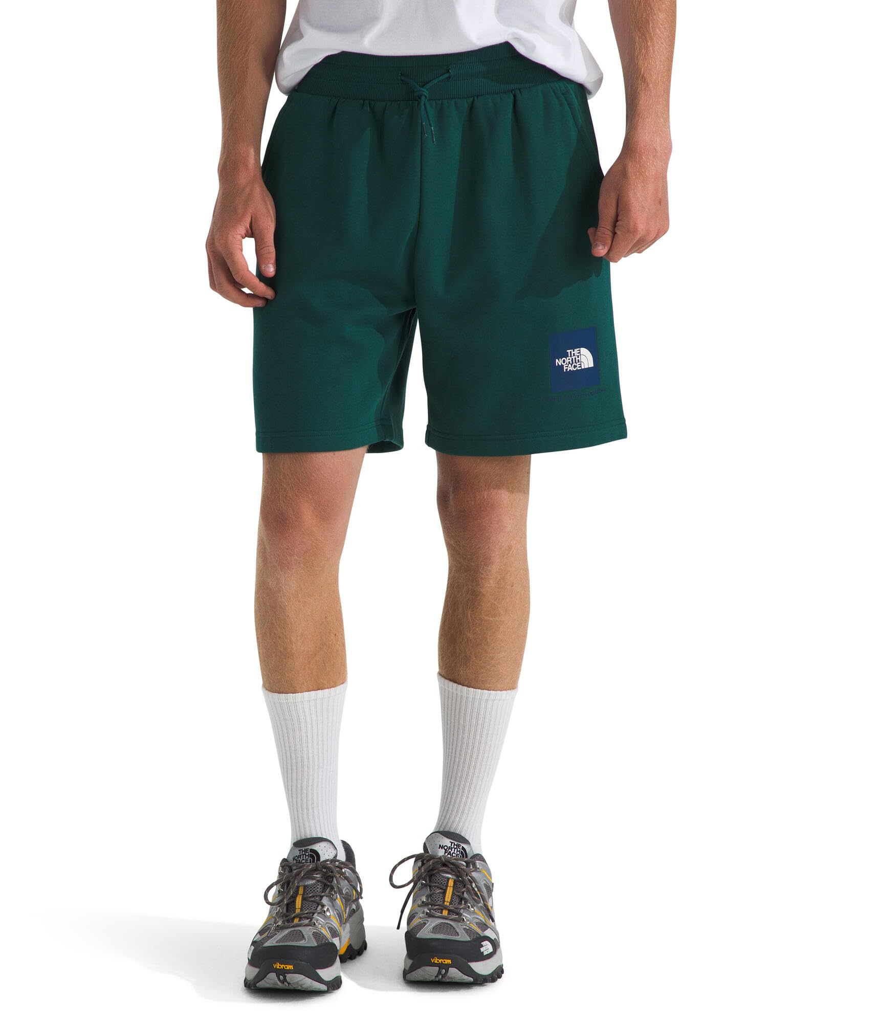 The North Face Men's Box NSE Regular Reg Shorts, Deep Nori/Estate Blue, S