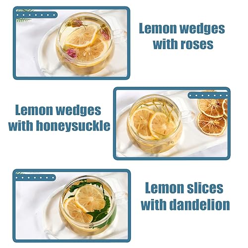 Miniatura 7 de Phuumy Rebanadas de limón seco para cóctel, rodajas de limón seco y refrescante sabor cítrico, perfecto para té, hornear y decoraciones