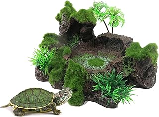 reptile accessories