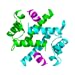 Amino Acids
