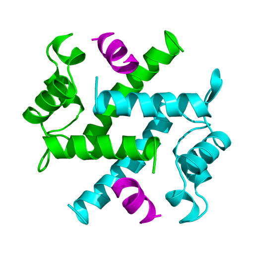 Amino AcidsAmazon.co.ukAppstore for Android