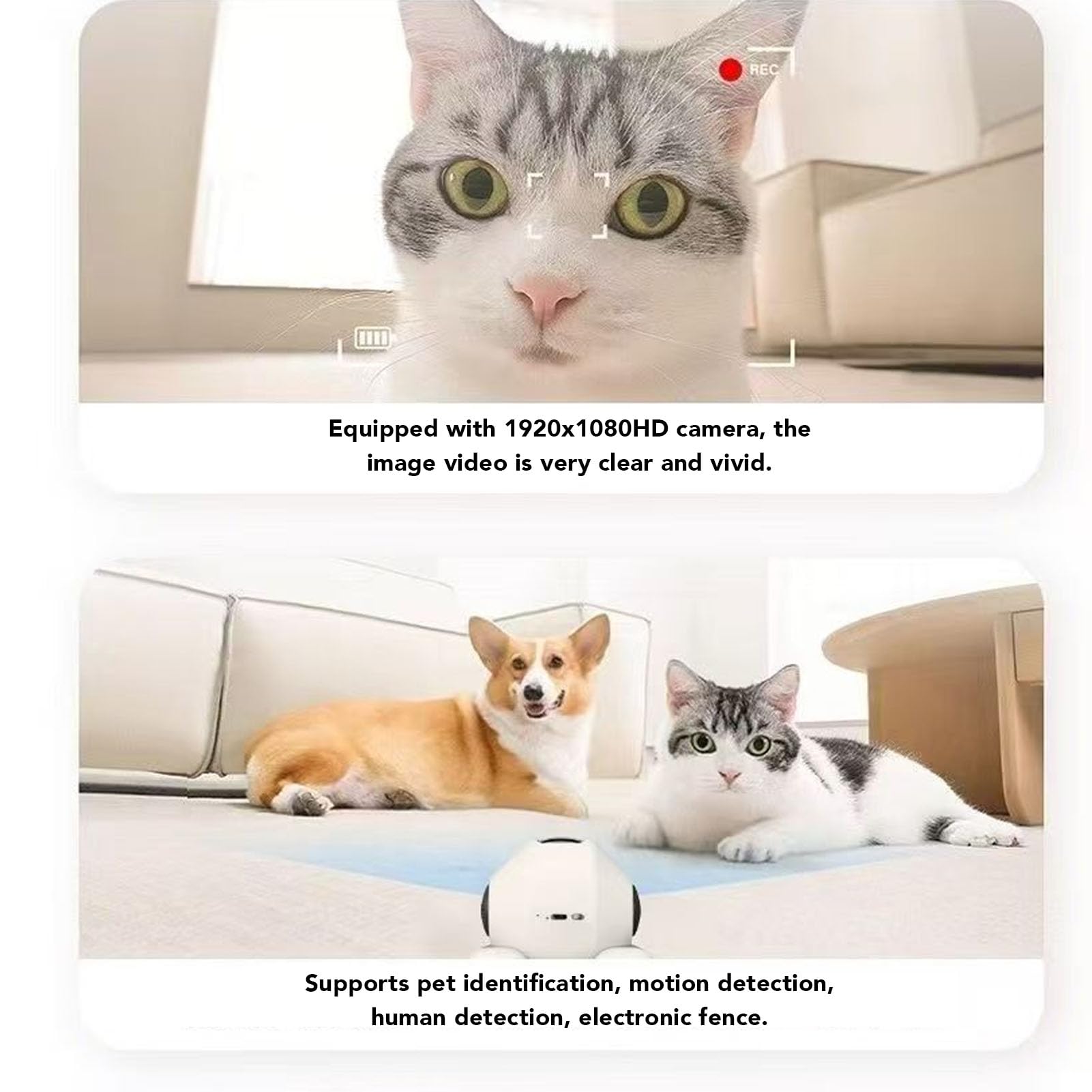 Cámara de vigilancia 360 ° WiFi -WiFi -Detección de movimiento 2 vías habla cámara portátil PET con App Burlarse de PET -Funciones para interiores