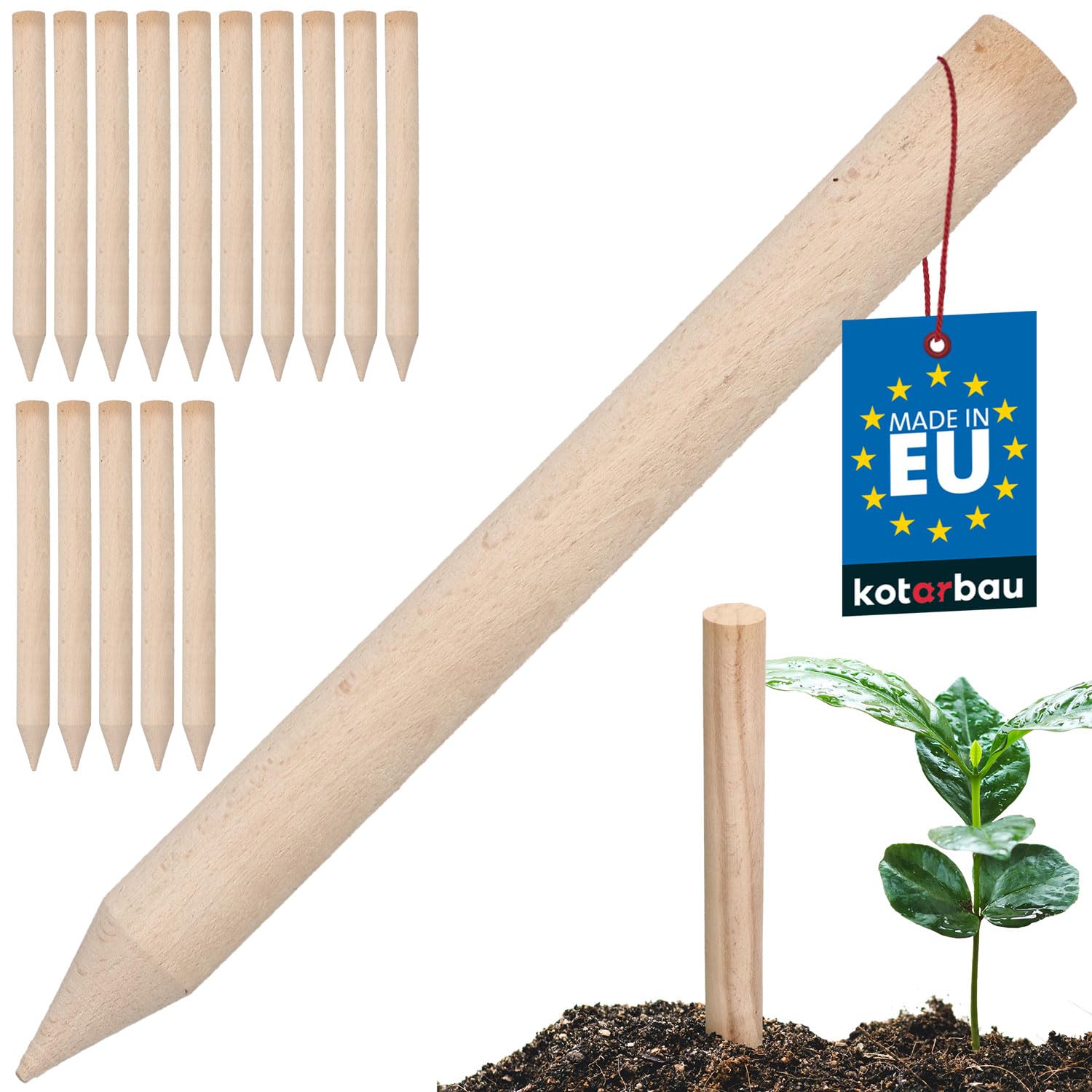 KOTARBAU® Set of 15 Plant Support - Garden Stakes - Beech Wood - 30 cm (11.8 inches) - Natural - Plant Support Sticks - Wooden Stakes - Garden Sticks