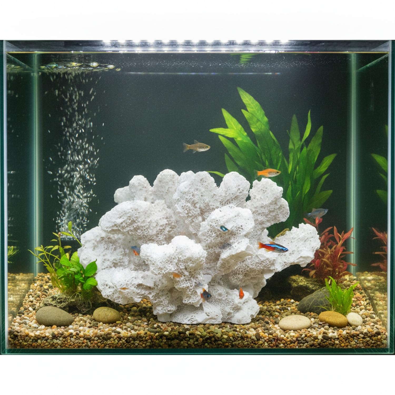 Adorno de Coral, 1 PC