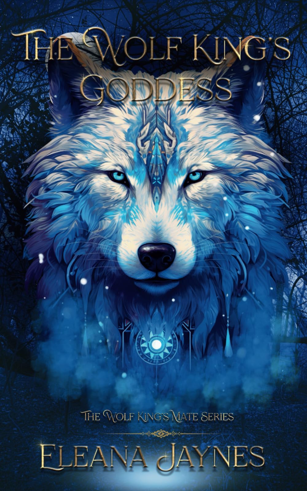 The Wolf King's Goddess: The Wolf King's Mate: 1 (The Wolf King's mate series)