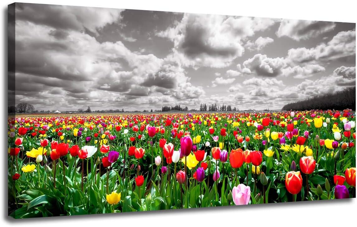 Canvas Wall Art Tulip Florals Field Picture Prints Landscape Grey Sky Nature Wild Flowers Artwork One Panel 40"x20" Framed Ready to Hang for Living Room Bedroom Bathroom Home Office Decor