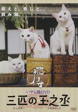 いやし猫dvd 猫侍 三匹の玉之丞 Amazon Fr Dvd Et Blu Ray