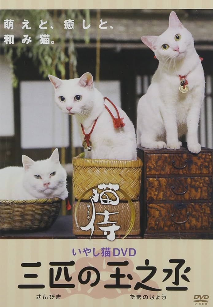 【動作確認済】猫侍　season 1 &劇場版1・2 DVD-BOX サンプル版 Amazon.co.jp: ドラマ「 猫侍 」DVD-BOX : 北村一輝, 平田薫