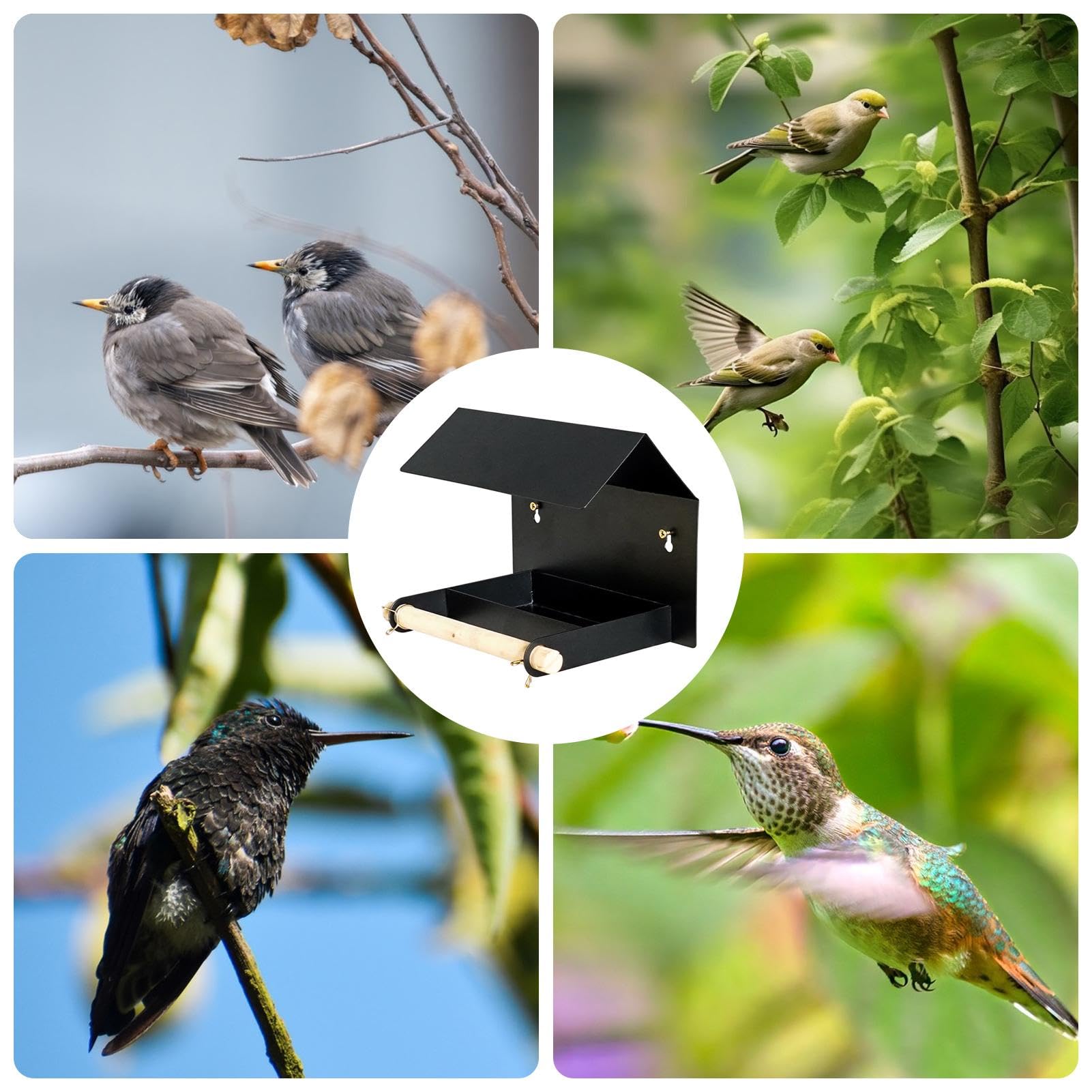 Amazon.co.jp: 屋外用バードフィーダー、樹木用バードフィーダー - 鳥