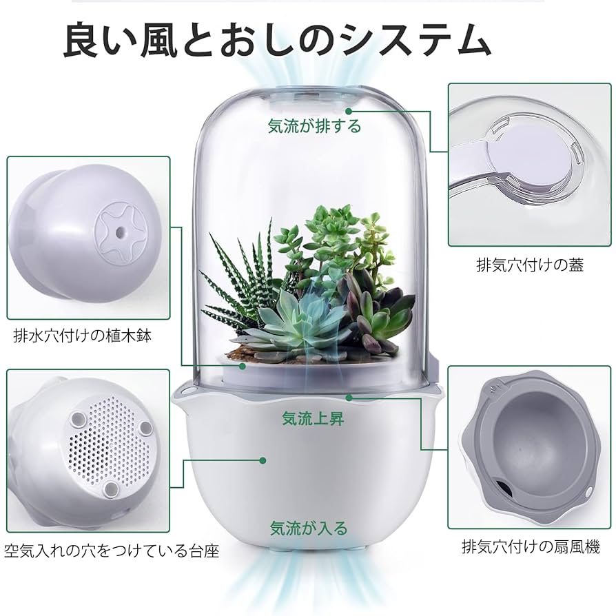 多肉植物 ナイトライト グロウライト付き多肉植物の鉢 楽天市場】植物育成ライト LED タイマー 植物育成LED 観葉植物