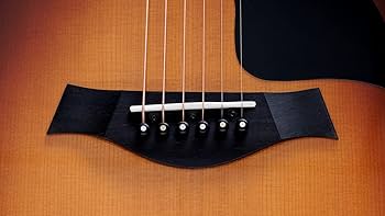 Amazon | Taylor 50th Anniversary 217e-SB Plus LTD アコースティック