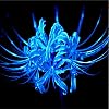 Iridescent,Perennial,Hardy,Gorgeous Spider Lily Bulbs Mix UK,Good for Containers,Flowering Rhizome,Excellent Display,Balcony Garden Bulbs.-4bulbs-G