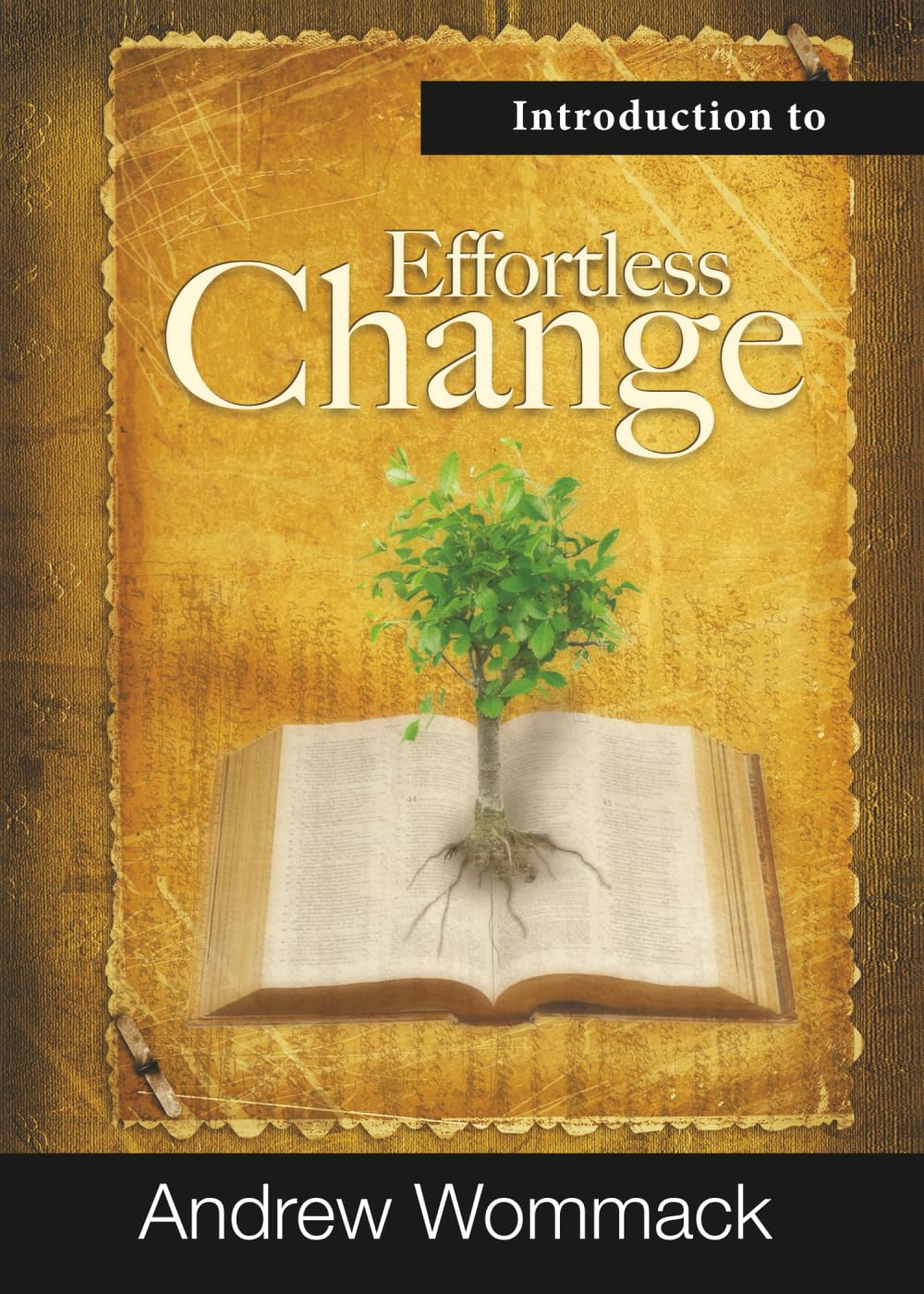 Introduction to Effortless Change (Gospel Truth Series)