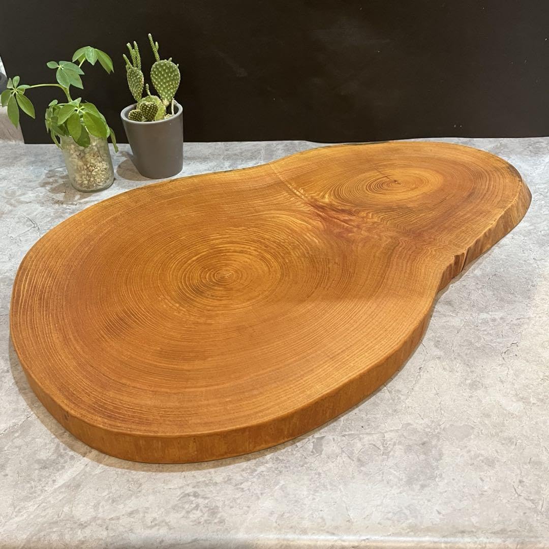 Amazon.co.jp: 833 切り株 丸太 輪切り 欅 一枚板 ディスプレイ