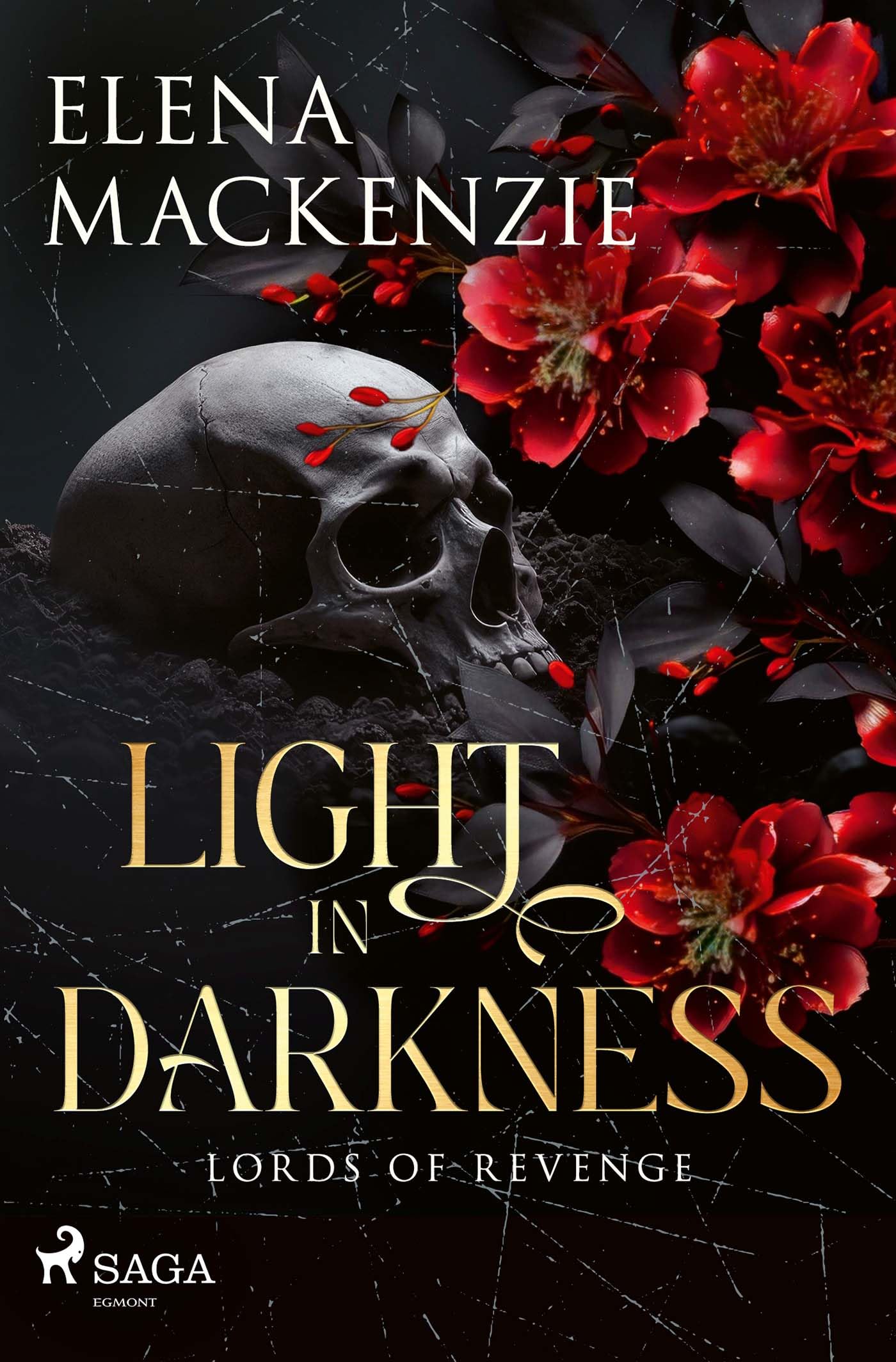 Light in Darkness: Opposites attract: Fesselnde Dark Romance mit jeder Menge Spice.