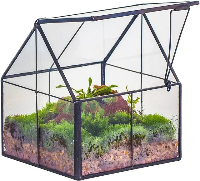 Terrario Geométrico de Vidrio para Plantas Suculentas - Decoración de Mesa