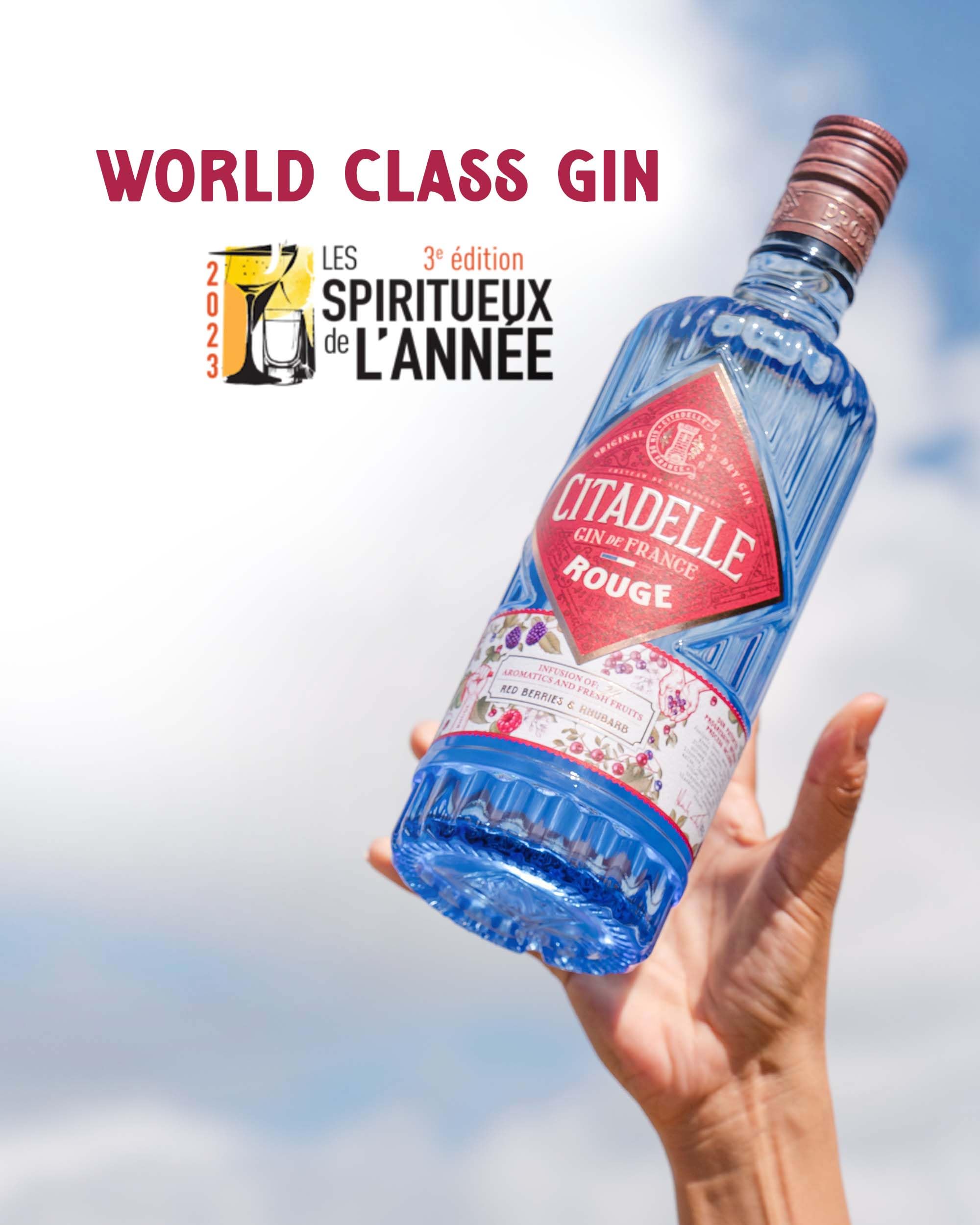 Citadelle, Gin Rouge, 700ml, Ideale per Gin Tonic Fruttato, Note di Frutti Rossi, Dolci e Piccanti, 24 Botaniche, Gin Artigianale Francese Distillato in Alambicco Tradizionale, Idea Regalo, 41,7% Vol.