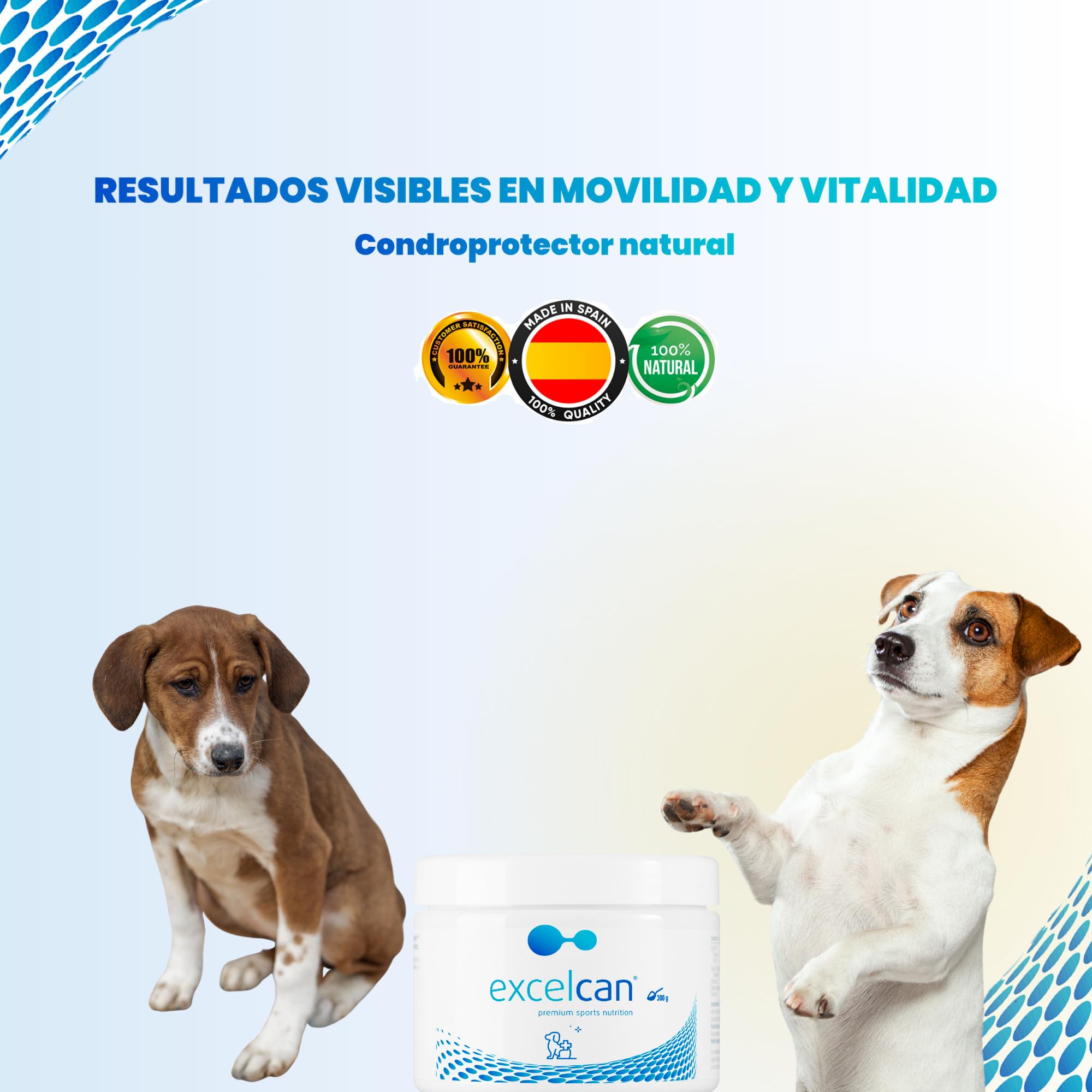 Excelcan® - condroprotector Perros | Antiinflamatorio Natural con colágeno para Perros Mayores | Articulaciones Piel y Pelo (300g)