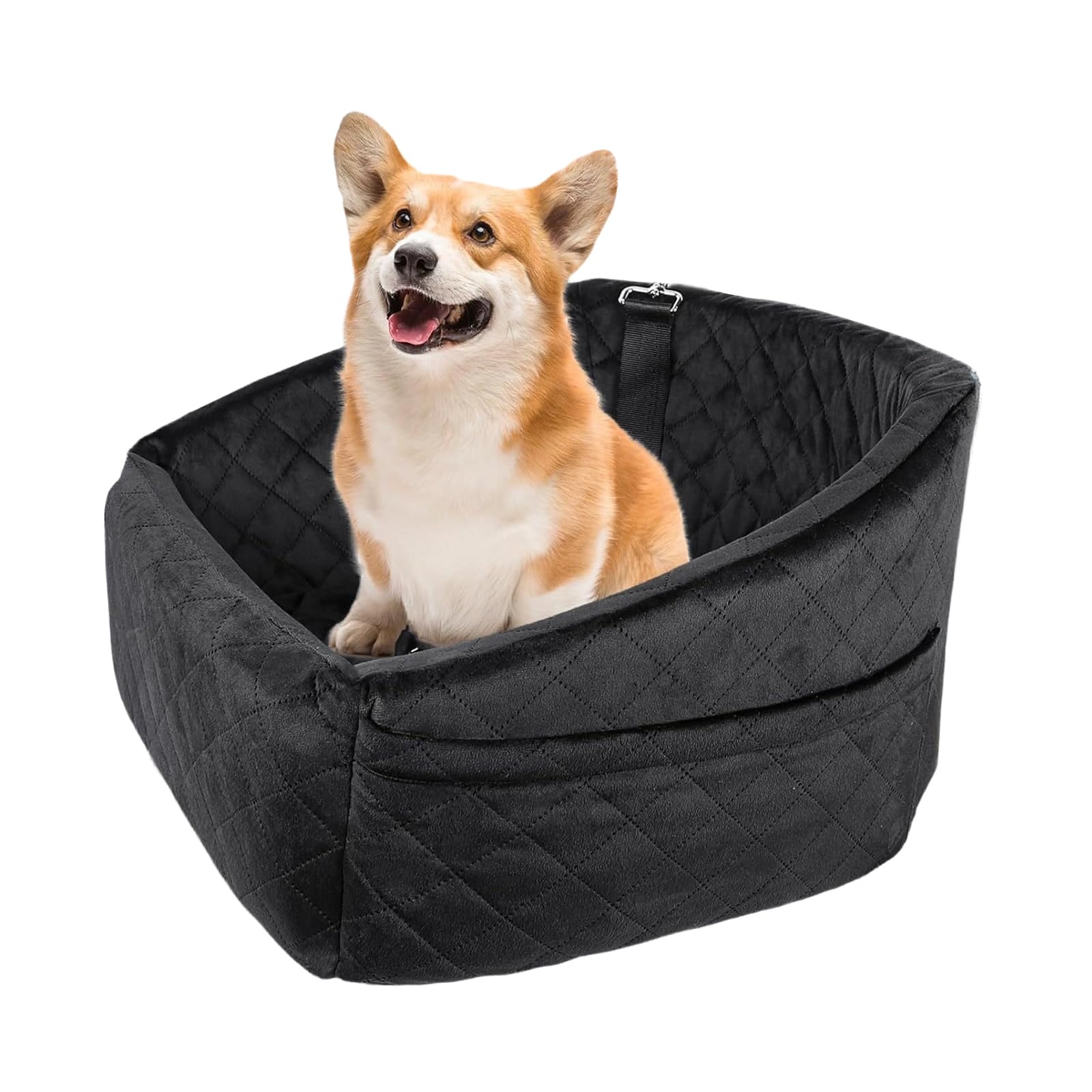 Chien avec ceinture d'appui-tête et poches latérales pour plus de confort et de sécurité