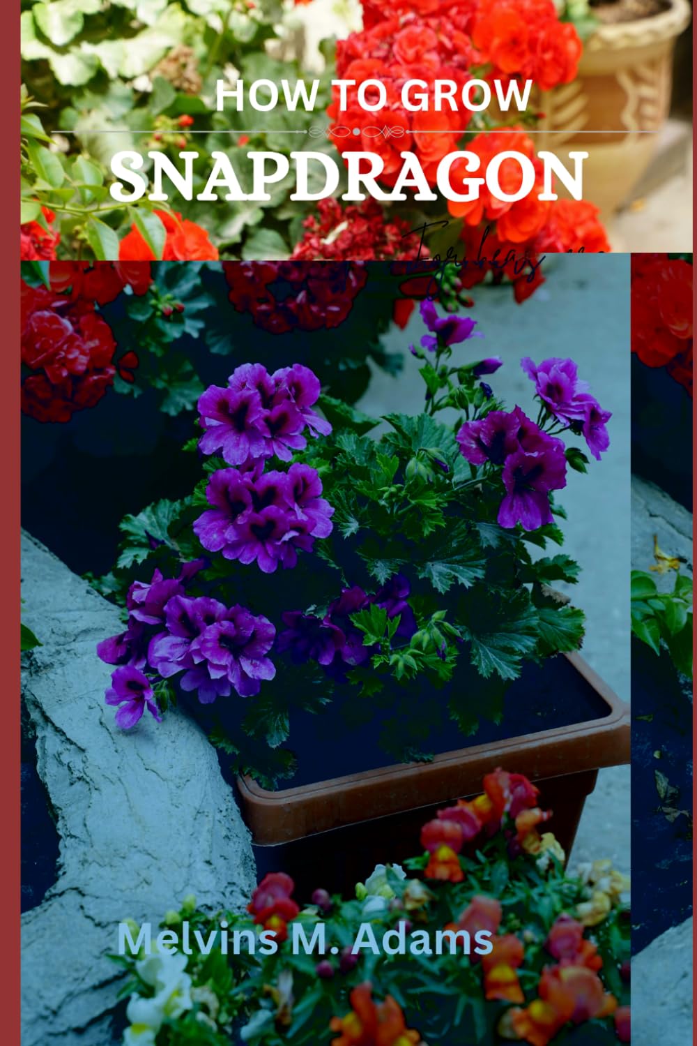 How to grow Snapdragon flowers for beginners: The Ultimate Beginner’s Guide to Growing, Caring for, and Harvesting Snapdragon at Home and garden