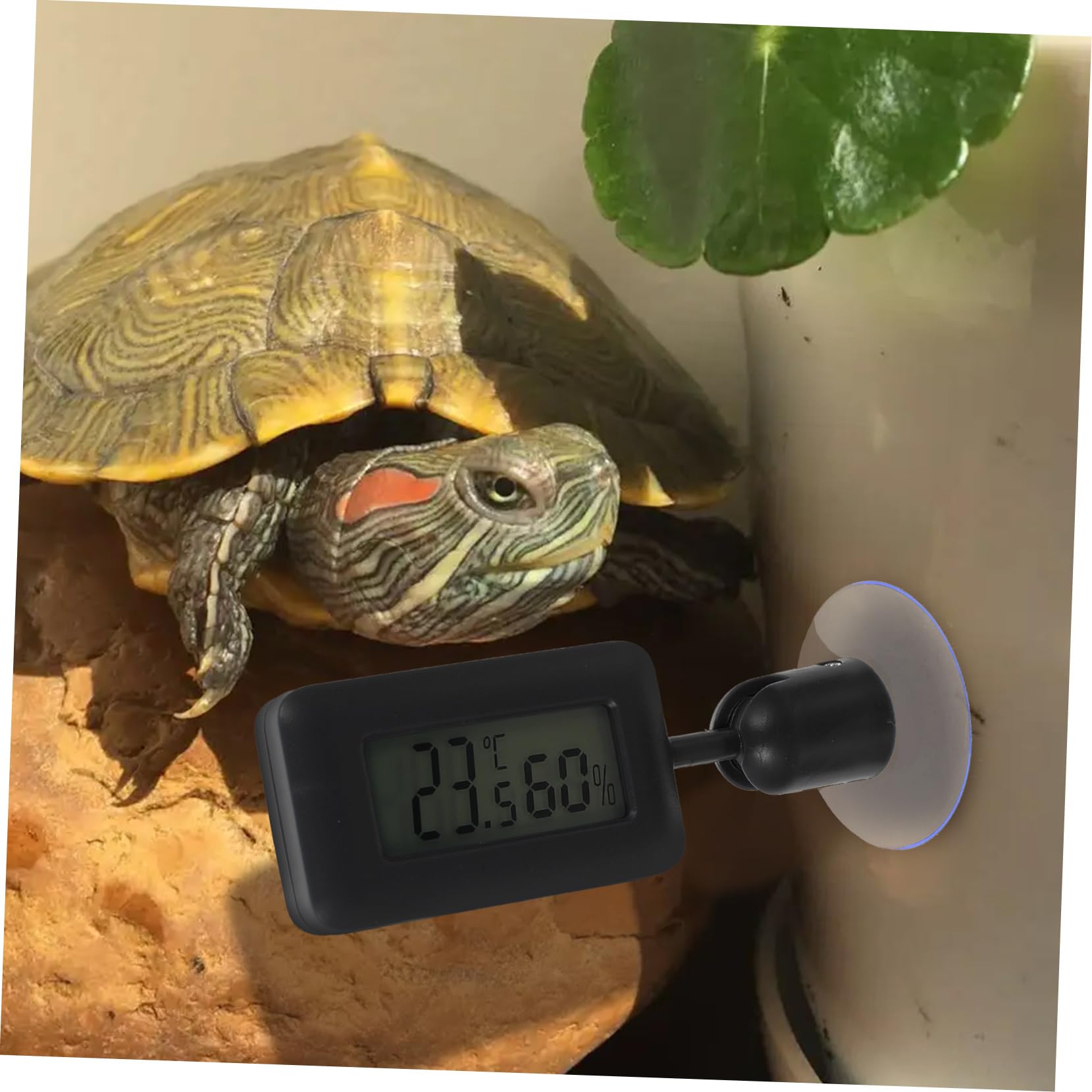Milisten 4stücke Reptilien Thermometer Digital Mit Rotation Hygrometer Und Großer Saugnapf Für Terrarien Und Aquarien Präzise Temperatur Und Luftfeuchtigkeitsmessung Für