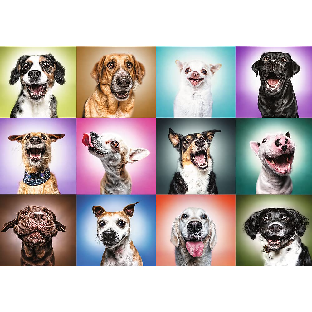 Trefl Prime Puzzle 1000 pièces : Unlimited Fit Technology : Têtes de Chiens Amusants