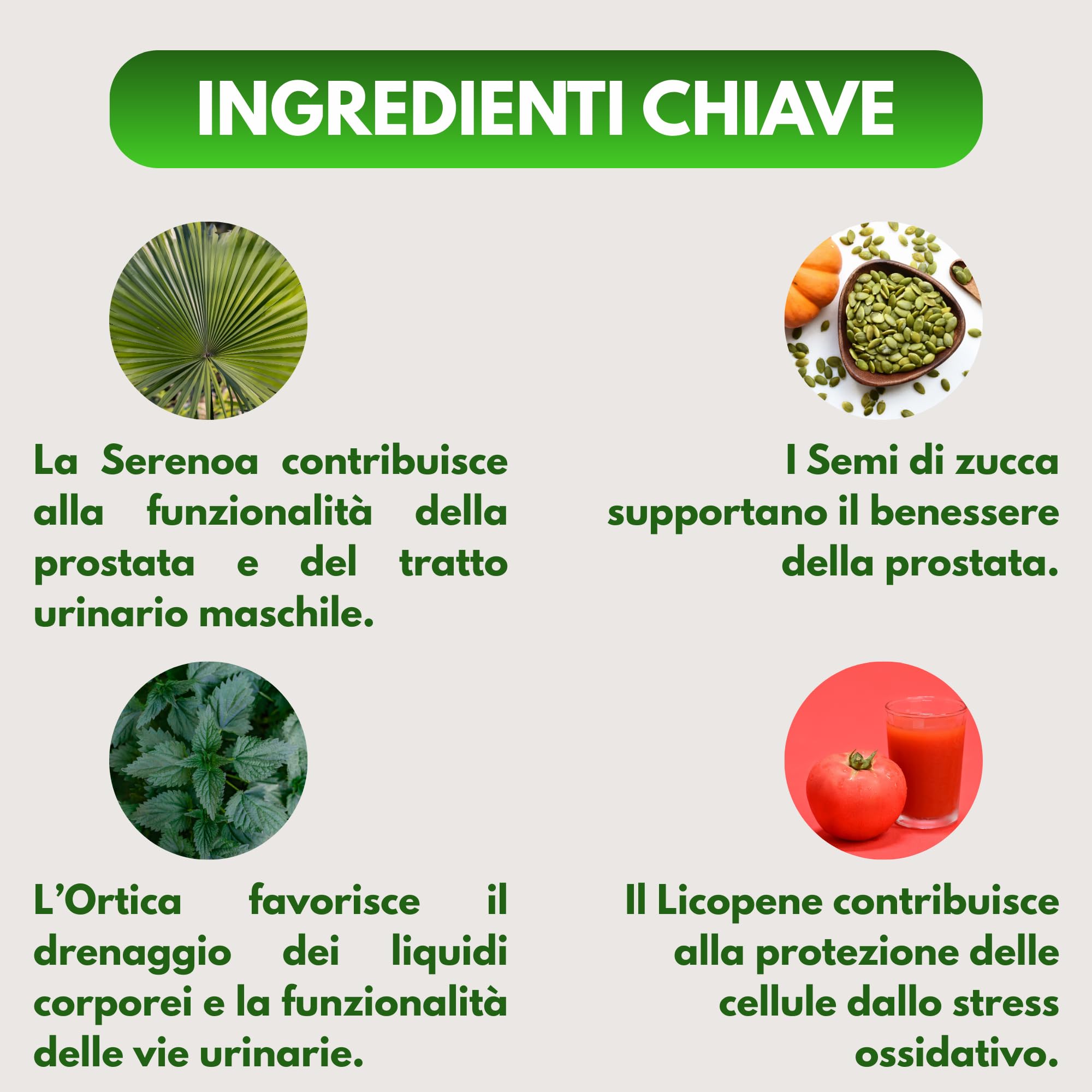 Serenoa Repens Prostata 640 mg per dose giornaliera – Saw Palmetto con Semi di Zucca, Ortica e Licopene – Prostata Integratore Supporto Benessere Maschile – 180 Capsule – Made in Italy – Lululab®