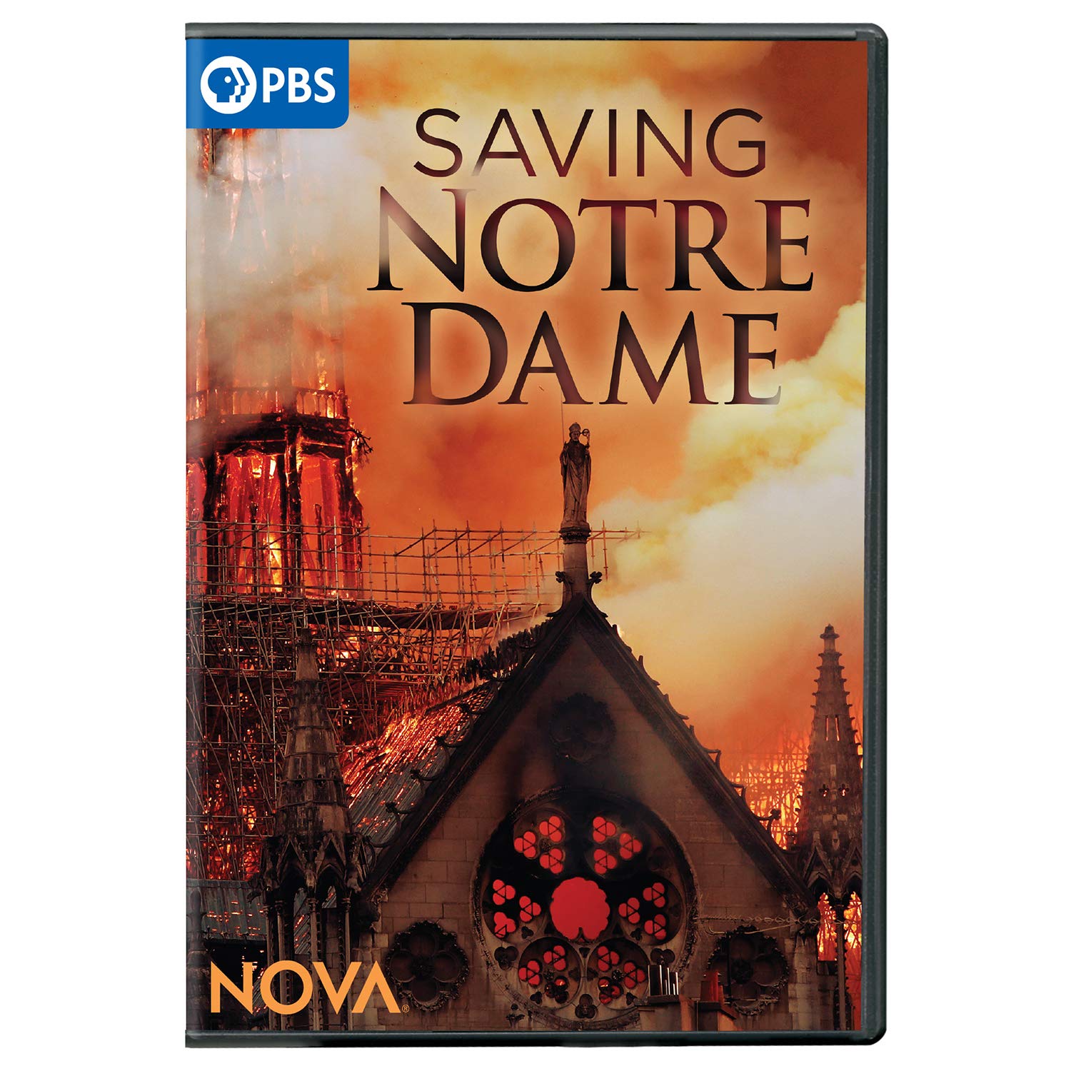 DVD Nova: Saving Notre Dame la reconstrucción de la catedral en edición USA