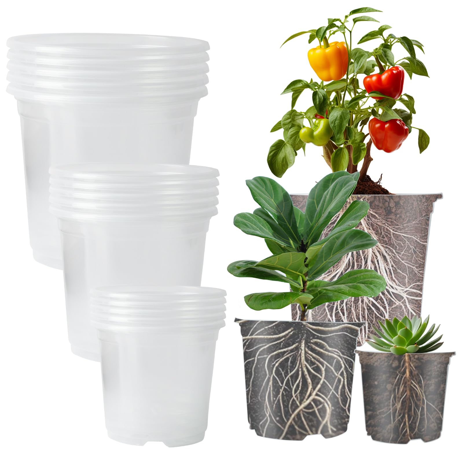 15 PcsPot Semis, Pot Orchidée Transparent de 9/10/13 cm, Pot