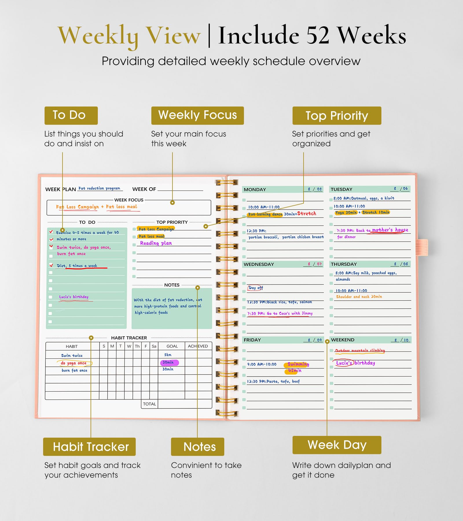 View 3