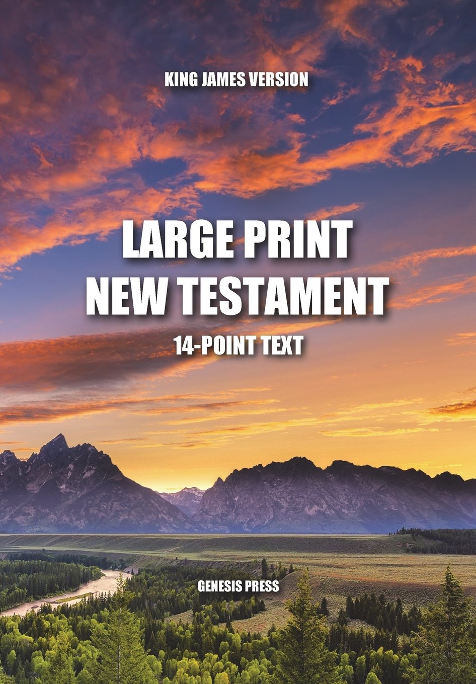 Large Print New Testament: 14-Point Text