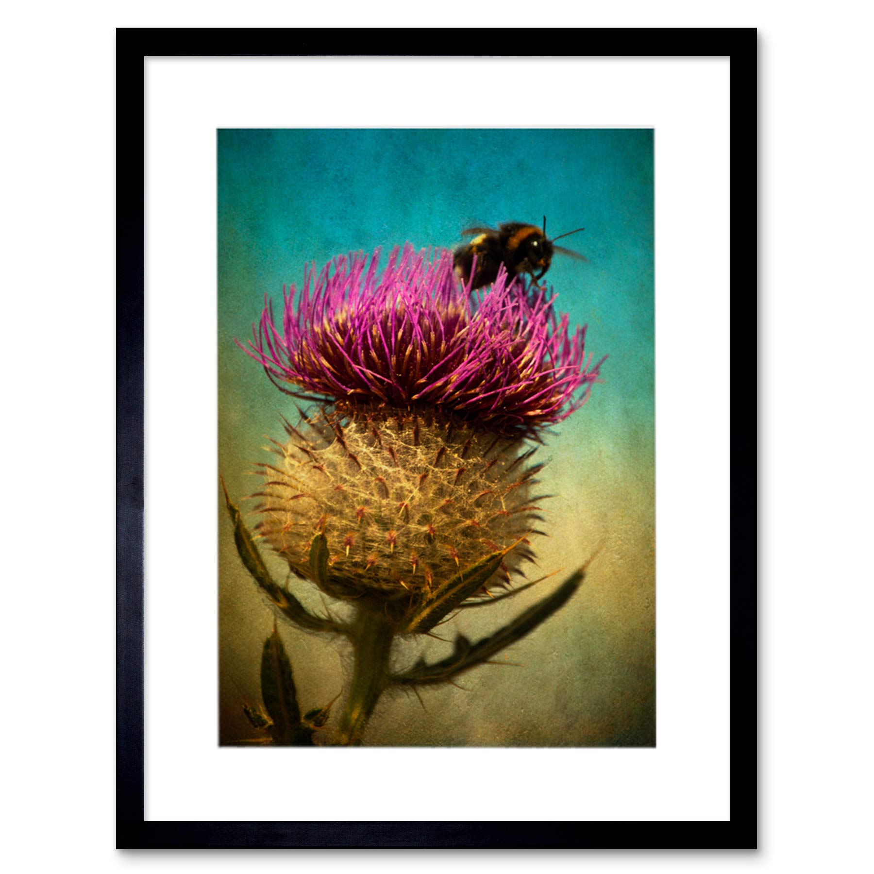 Wee Blue Coo Bumble Bee And Thistle Artwork Framed Wall Art Print 12X16 Inch