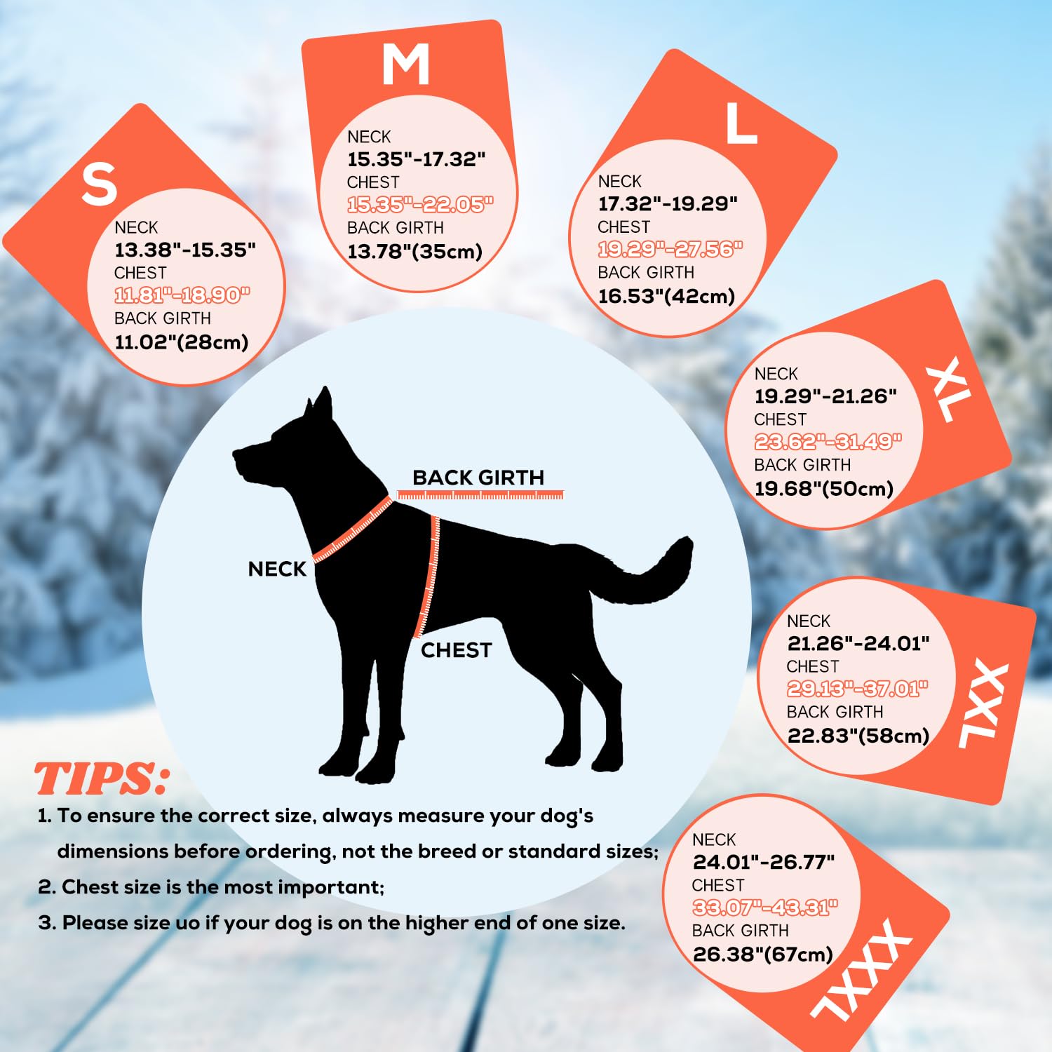 EMUST Abrigo de invierno para perro, chaqueta gruesa resistente al viento para perro, chaleco de invierno para perros pequeños/medianos/grandes, naranja, XXL