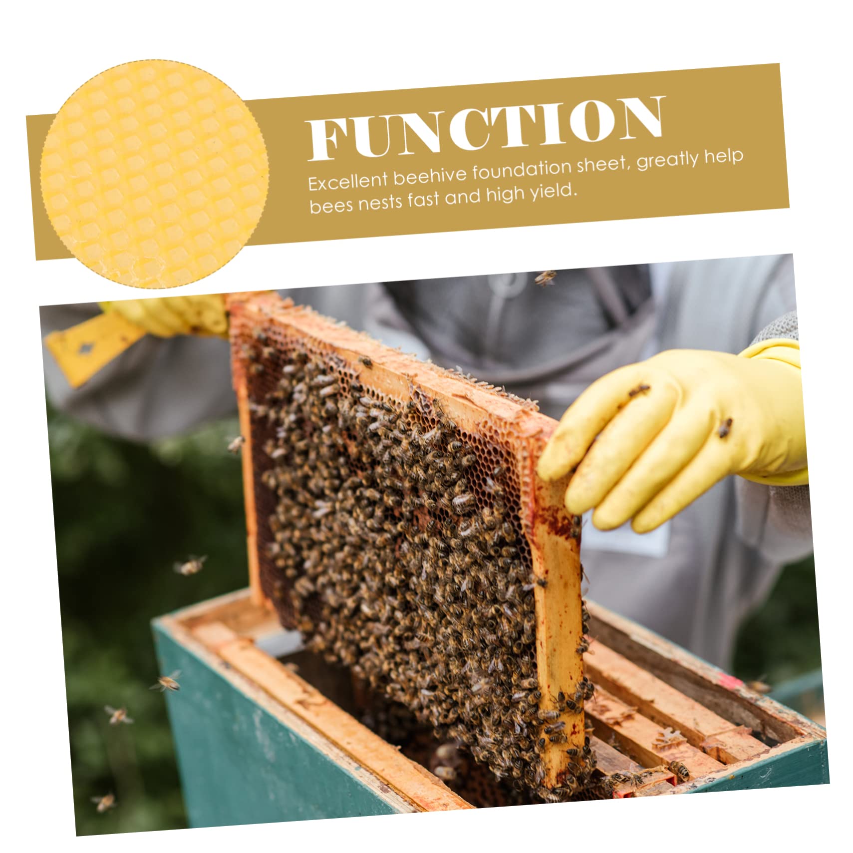 Stück Wabenfundament Gelb aus 30 für Bienenwachs Imkerei
