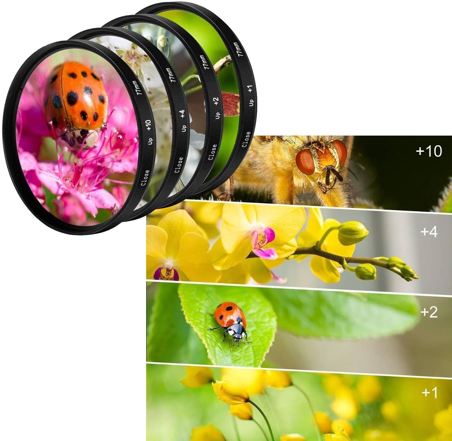 Amazon.com : for Nikon Coolpix P900,67MM Advanced Accessory