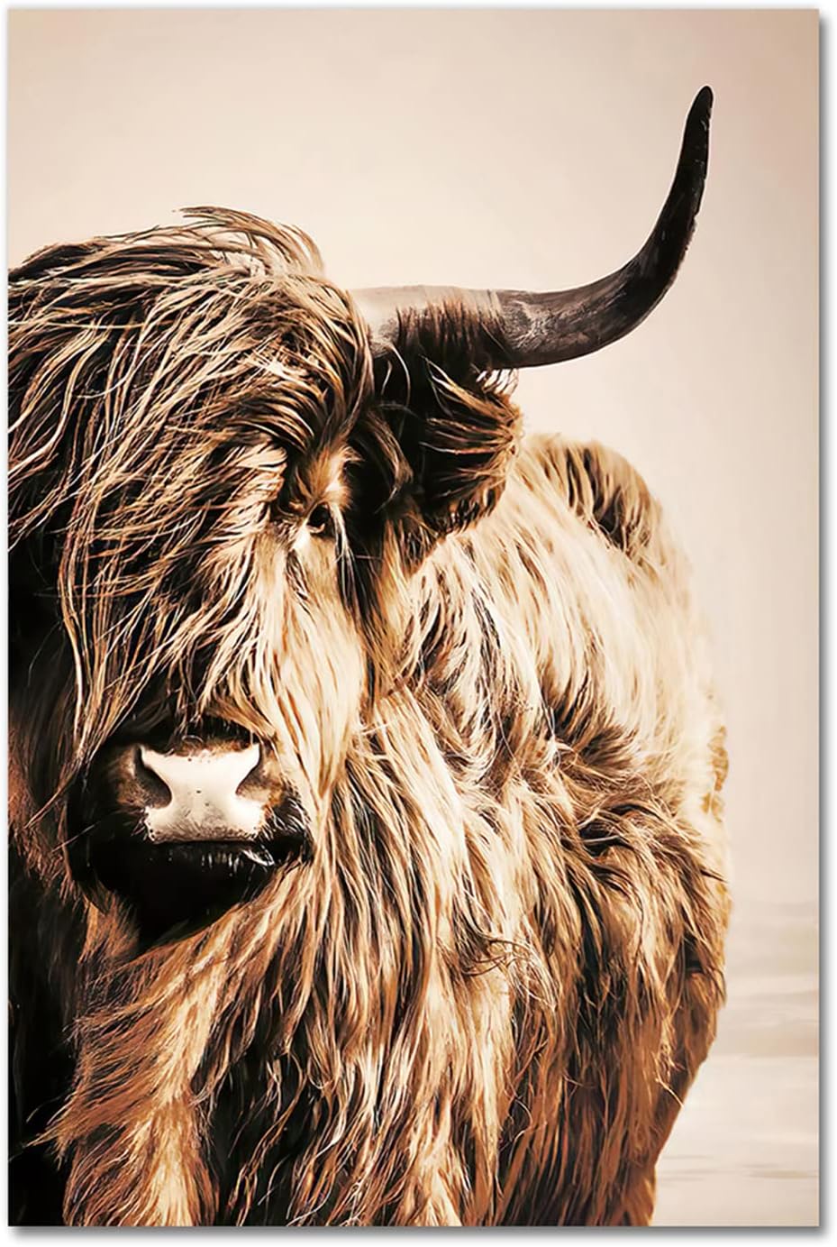 Amazon 動物ヤク写真ハイランド牛壁アート絵画ポスター装飾絵画キャンバス壁アートリビングルームポスター寝室絵画フレームなし x28in ウォールステッカー オンライン通販 Amazon 動物ヤク写真ハイランド牛壁アート絵画ポスター装飾絵画キャンバス壁アートリビングルームポスター寝室絵画フレームなし x28in ウォールステッカー オンライン通販