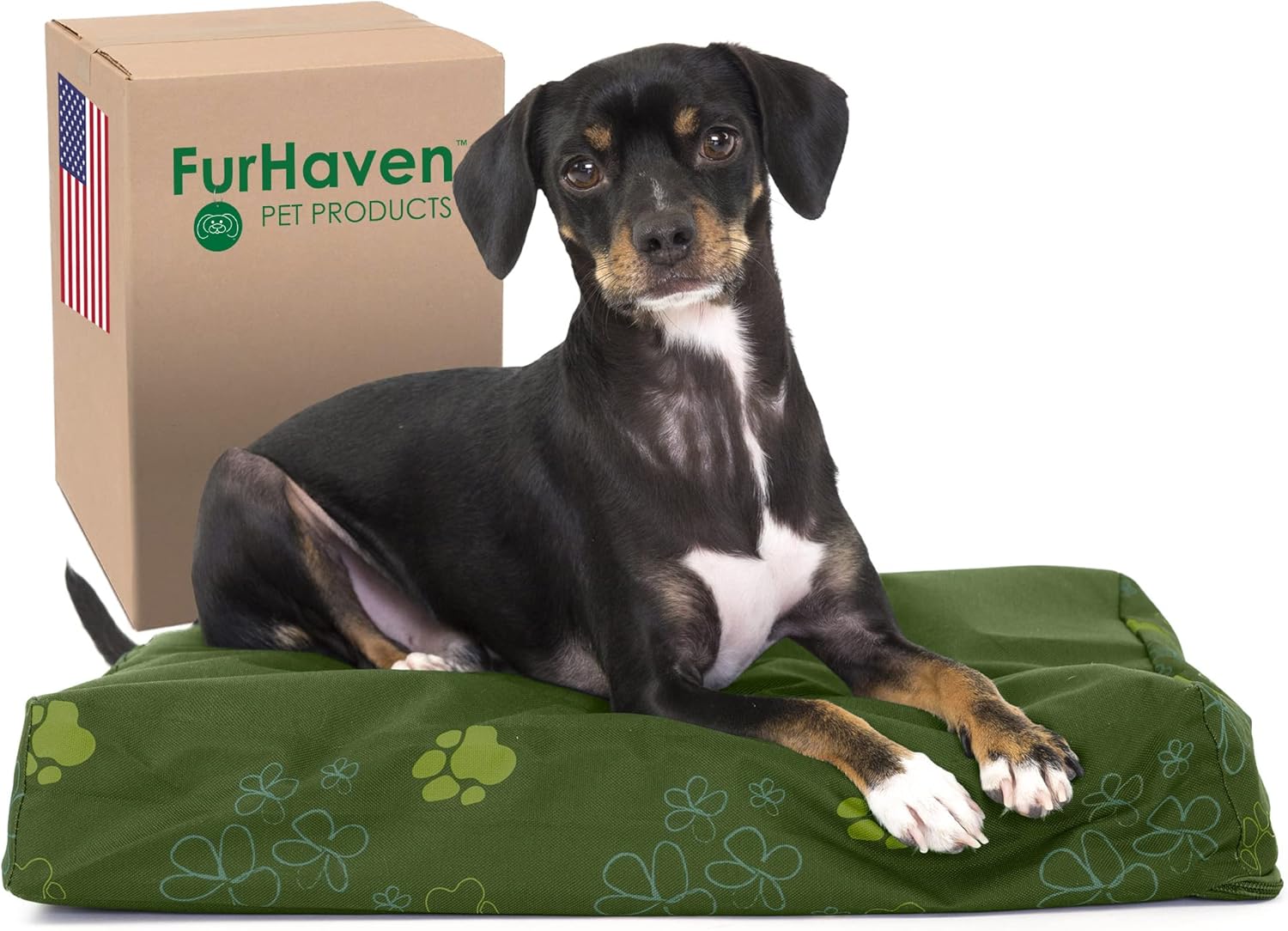 Furhaven Water-Resistant Orthopedic Dog Bed for Small Dogs w/ Removable Washable Cover, For Dogs Up to 20 lbs - Indoor/Outdoor Garden Print Mattress - Jungle Green, Small 20.0"L x 15.0"W x 3.0"Th Water-Resistant Garden Print (Jungle Green)