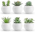 Der Rose Set of 6 Succulents Plants Artificial in Pots Small Fake Plants for Bedroom Aesthetic Living Room Shelf Bathroom Decor Office Desk Accessories