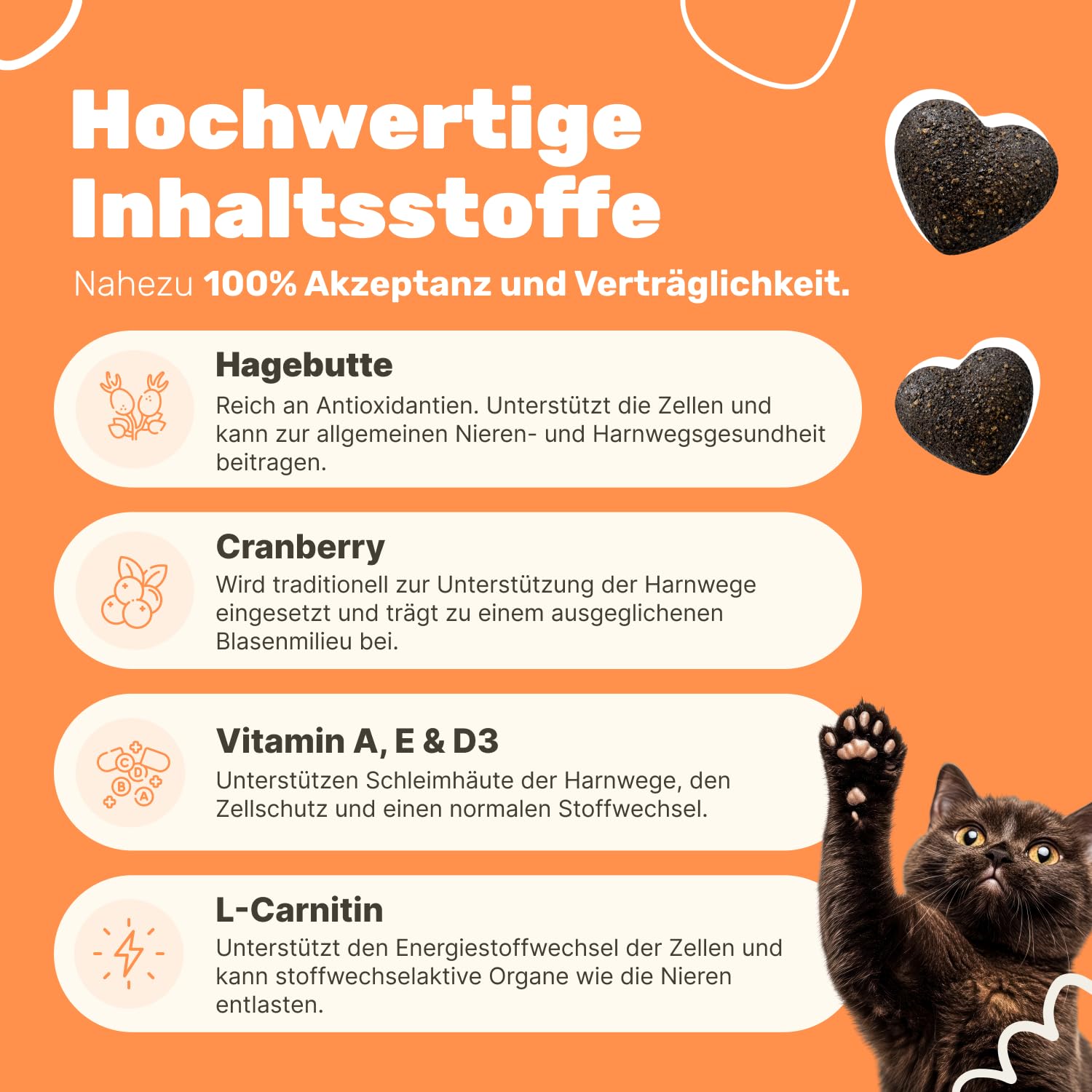 6-in-1 Nieren- & Blasen-Komplex für Katzen | Unterstützt Harnwege & Nierenfunktion | Nierendiät Katze | Mit Cranberry & Hagebutte | Renal Tonicum für Katzen | Tierärztlich entwickelt | Patsli Pee