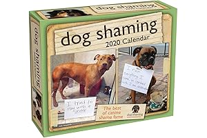 Elephant Wall Calendar 2020