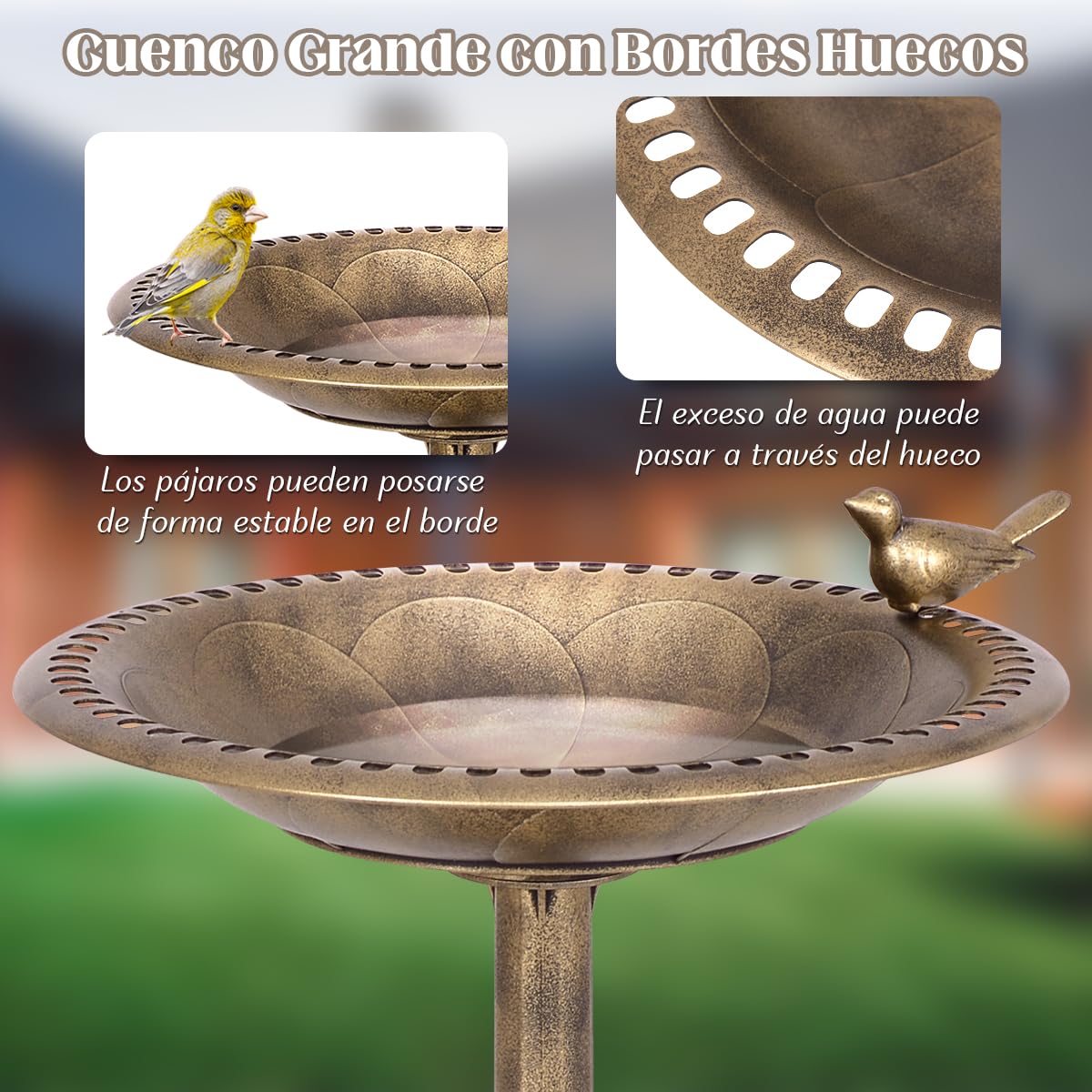 RELAX4LIFE 3 en 1 Comedero para Pájaros de PP con Soporte Grande, Bebedero para Pájaros con 3 Estacas a Tierra y Base Rellenable para Jardín, Patio y Parque, 51x51x72cm (Bronce)