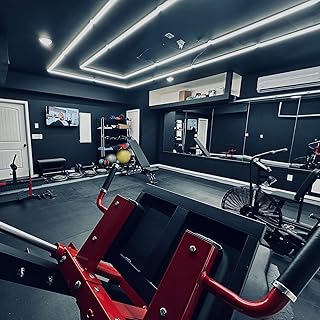 LED Garage Lights Fixture: High Brightness 39000LM LED Garage Lighting C...
