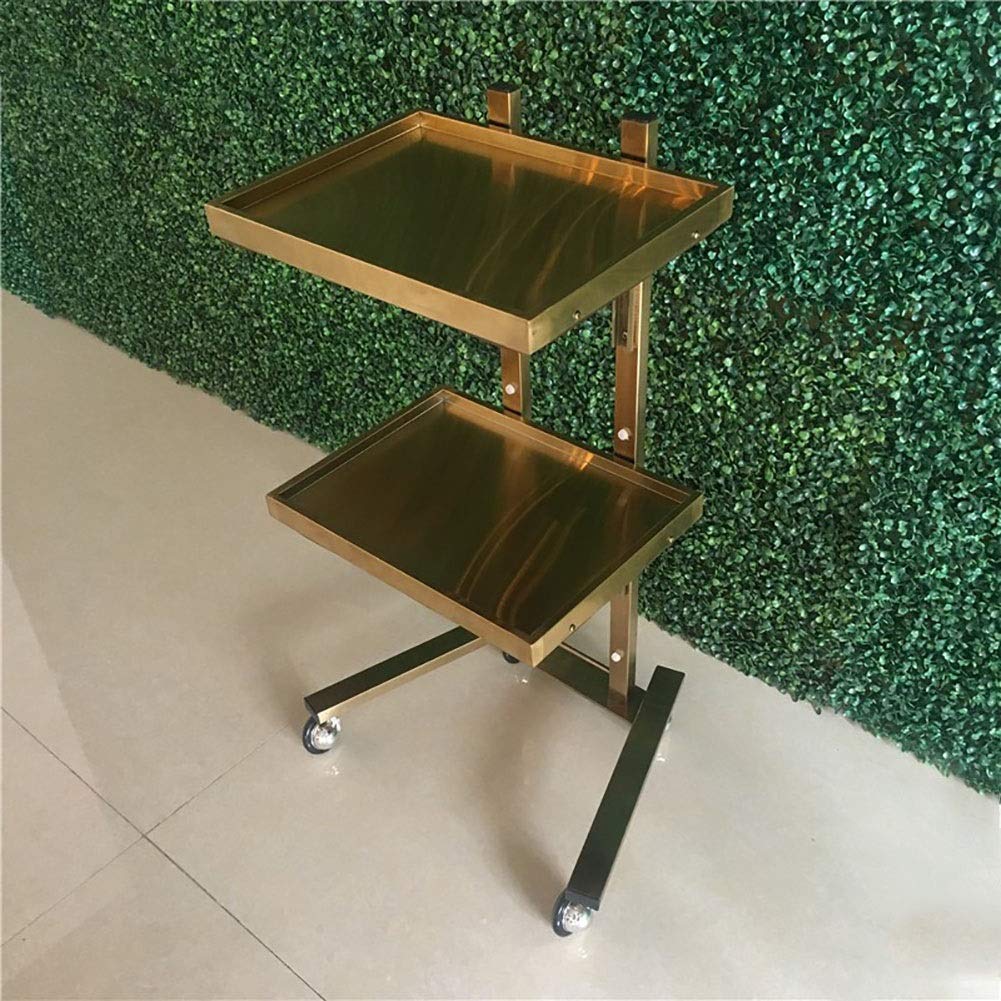 Ruchome Wózki, Gospodarstwa Domowego Saling Cart Stainless Steel Salon Salon Koszyka Z Tracyfrounding Sprzęt Narzędziowy Wózek Do Szpitala Dentystycznego, Klinika/B/30 * 40 * 85Cm