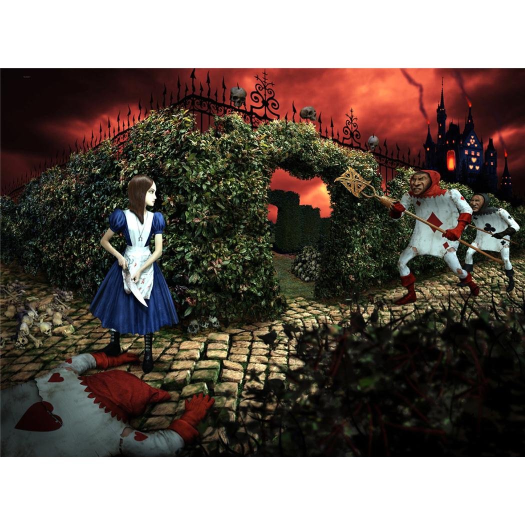 American McGees Alice Poster On Silk - F24D83 : Amazon.ca: Home