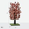 Product Photo 8