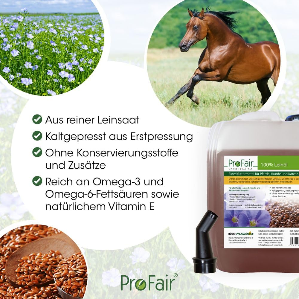 Leinöl kaltgepresst, 25 L Kanister, 100% Leinsaat, mit Dosierhahn