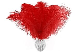 Red Ostrich Feathers 10-12 Inch by Piokio: Elevate Your Decor with Read Feather Elegance