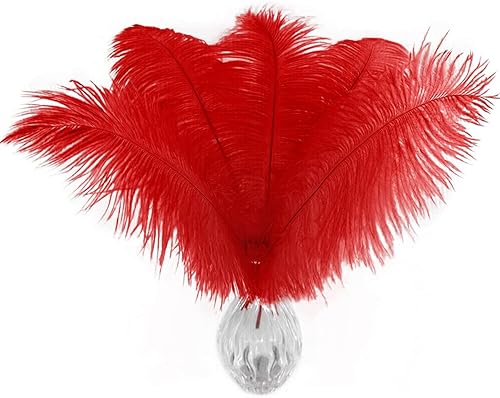 Piokio 40 plumas de avestruz rojo natural de 10-12 pulgadas a granel para centros de mesa de fiesta de boda, decoraciones de Gatsby
