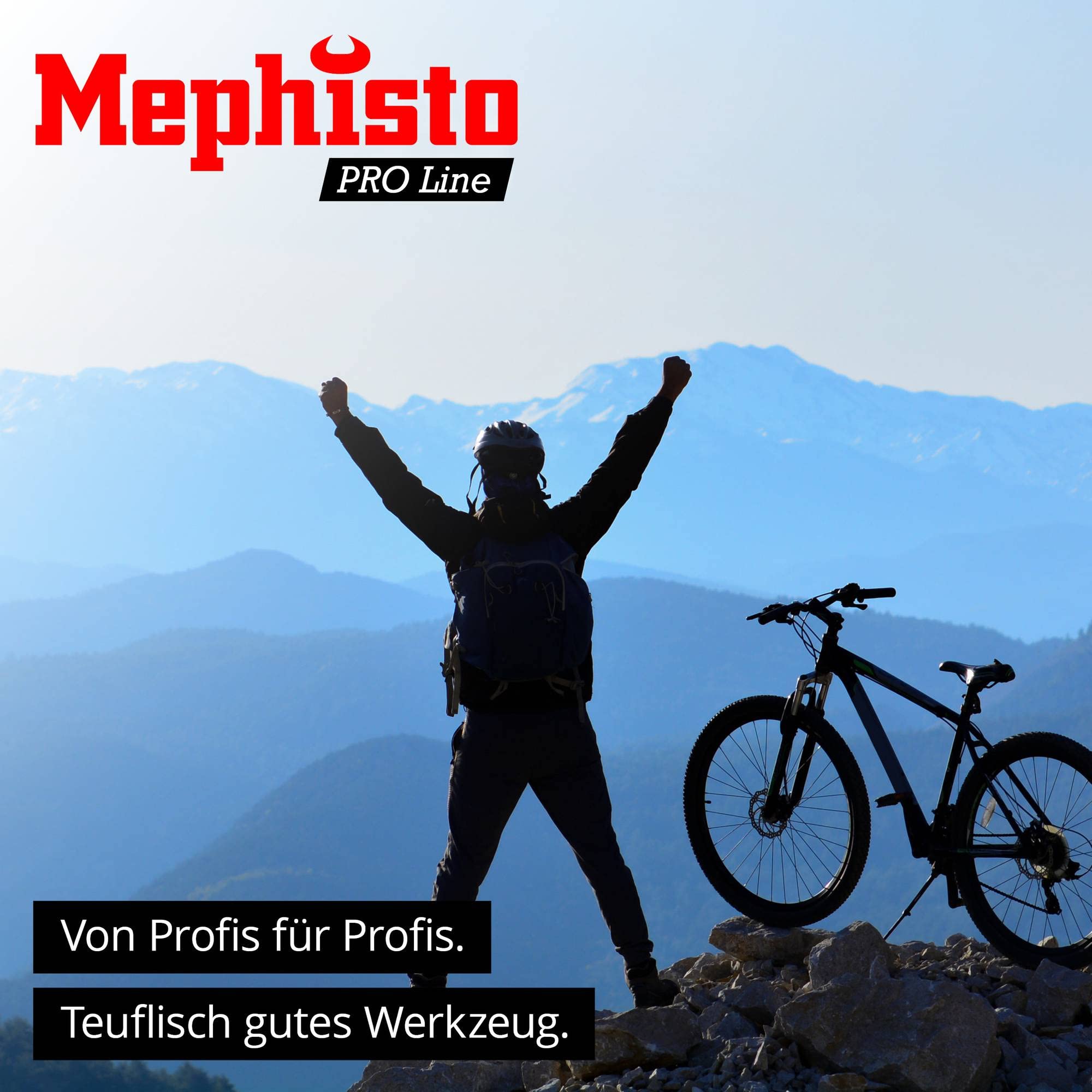 Mephisto Pro-Line zestaw kluczy dynamometrycznych do roweru i motocykla – zakres pomiarowy 2-20 Nm – narzędzie precyzyjne z gniazdem sześciokątnym, Torx i innymi bitami, kolor rękojeści/głowicy: