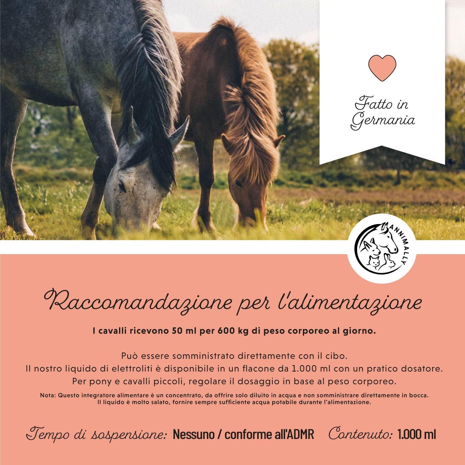 Elettroliti Liquidi per Cavalli 1000ml con sodio, potassio, acerola, calcio, magnesio e Vitamina B liquida - Elettroliti Liquidi senza zuccheri aggiunti - Elettroliti integratore Cavalli